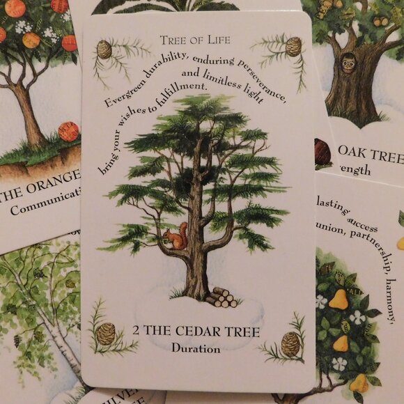 🌹For GRACE🌹Mini Tiny Oracle Reading🌹 - Picture 1 of 2